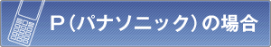 P(�p�i�\�j�b�N)�̏ꍇ