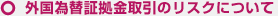 外国為替証拠金取引のリスクについて