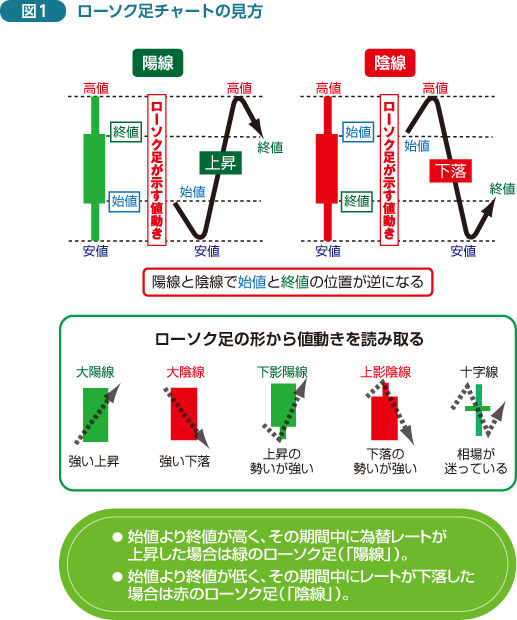 見方 ローソク 足