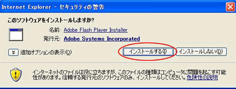 Flash PlayerCXg[