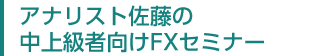アナリスト佐藤の中上級者向けFXセミナー