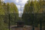 アングル：ＮＡＴＯの北の守り固めるフィンランド、一変した国境「最前線」の町