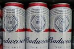 ビール最大手ＡＢインベブ、米国に1500万ドル投資へ