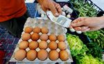 ユーロ圏消費者信頼感指数、9月はマイナス14.9に改善