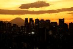 都内で２０２４年１１月撮影