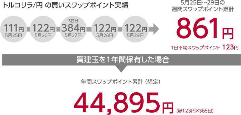 トルコリラ/円の買いスワップポイント実績　年間スワップポイント（想定）44,895円