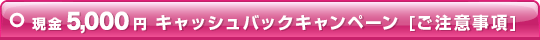5,000~LbVobNLy[yӎz